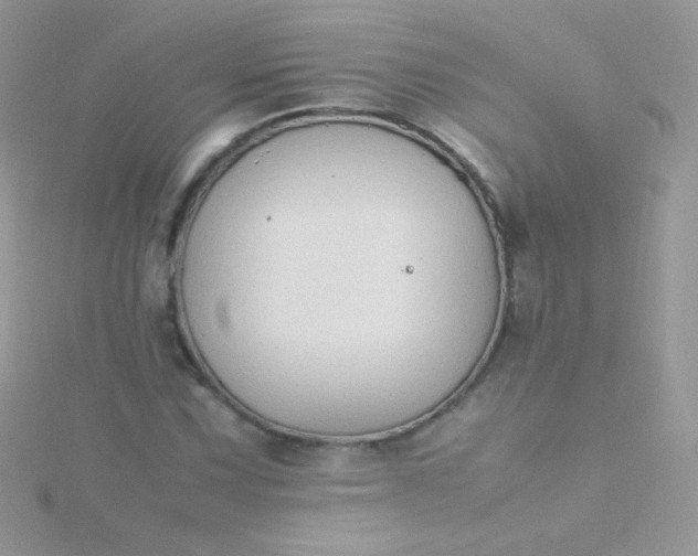 X0000115601067200911241550