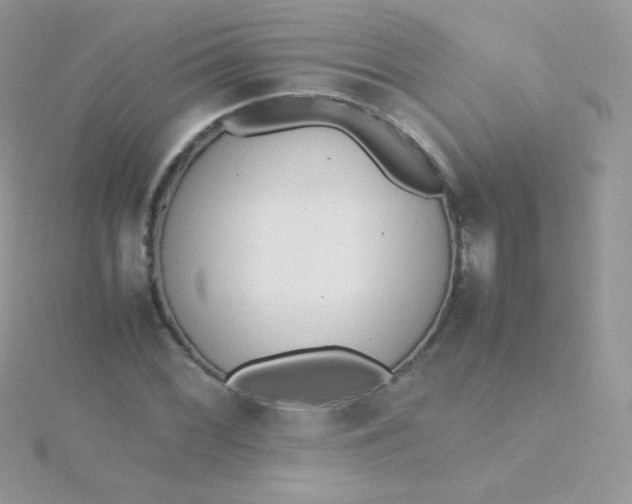 X0000115601068200911241550