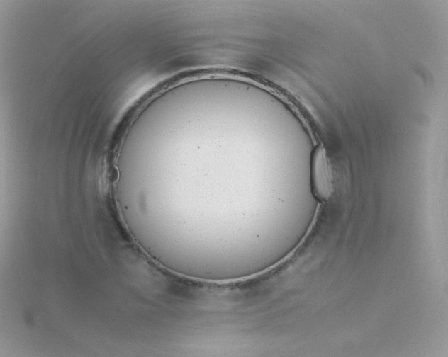 X0000115601069200911241550