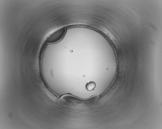 X0000115601072200911241550