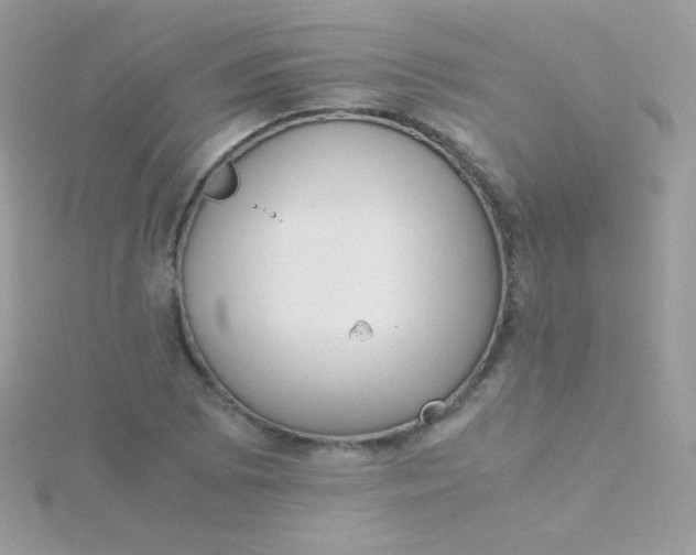 X0000115601073200911241550