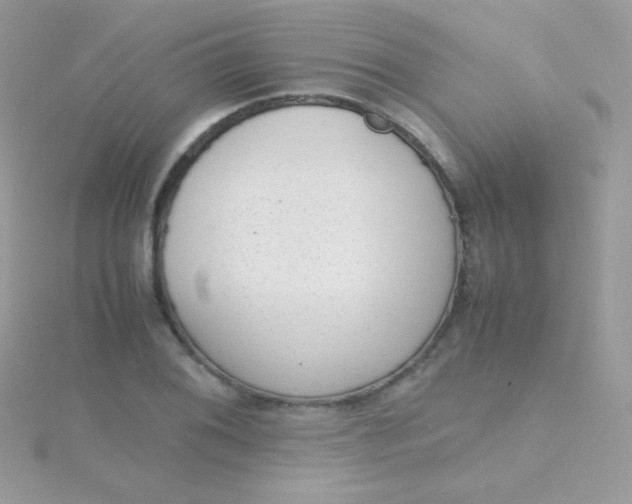 X0000115601076200911241550