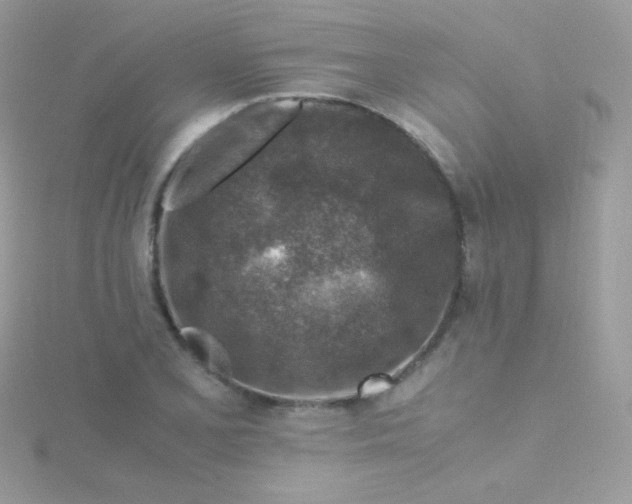 X0000115601077200911241550