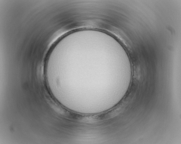 X0000115601078200911241550