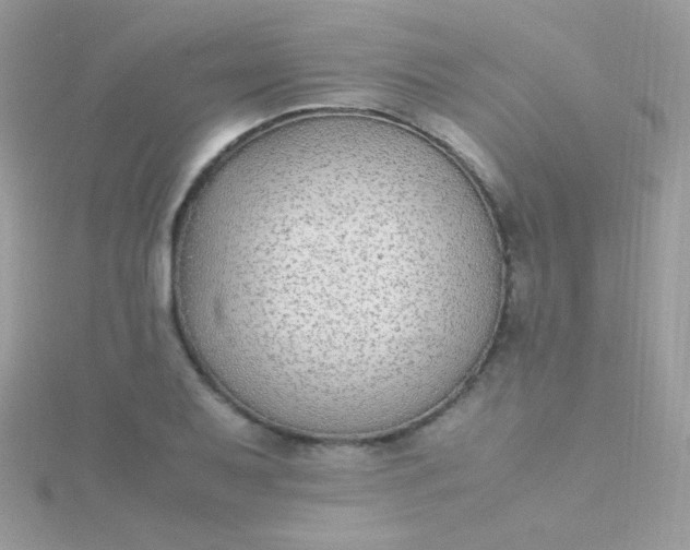 X0000115601079200911241550