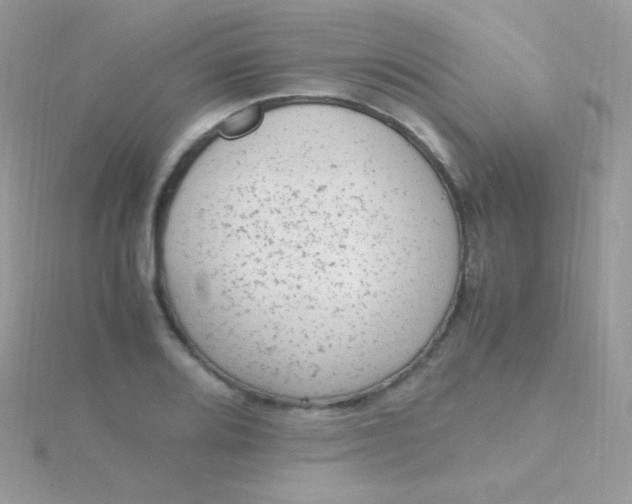 X0000115601080200911241550