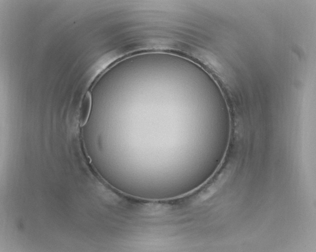 X0000115601081200911241550