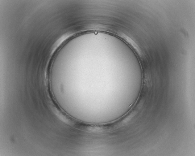 X0000115601082200911241550