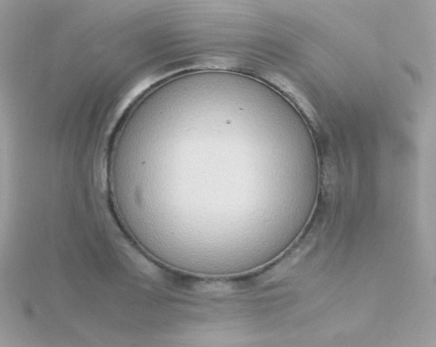 X0000115601083200911241550