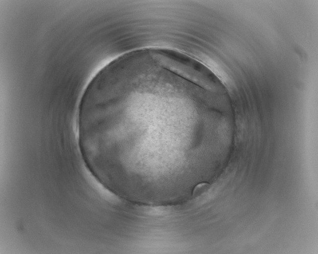 X0000115601084200911241550