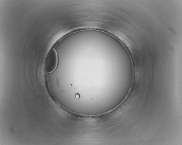 X0000115601085200911241550