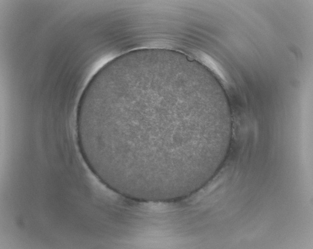 X0000115601087200911241550