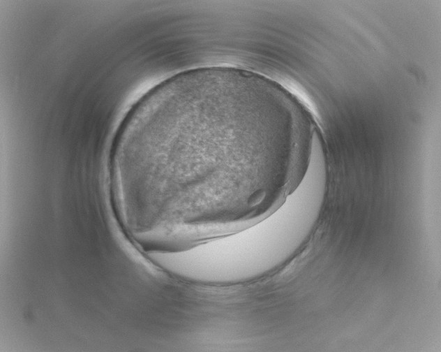 X0000115601088200911241550