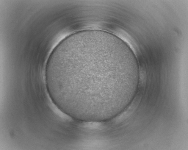 X0000115601090200911241550