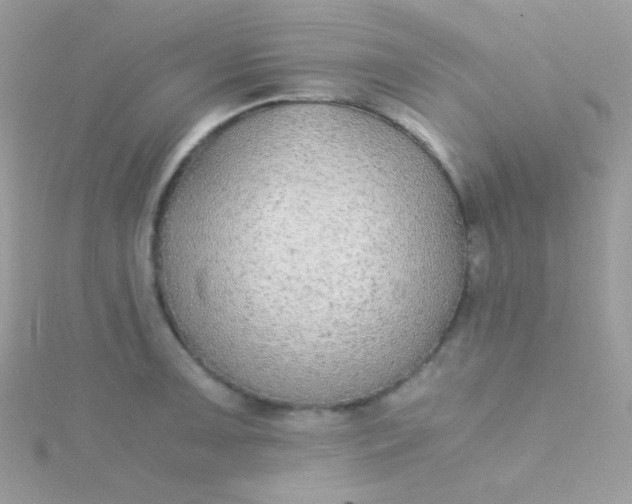 X0000115601091200911241550