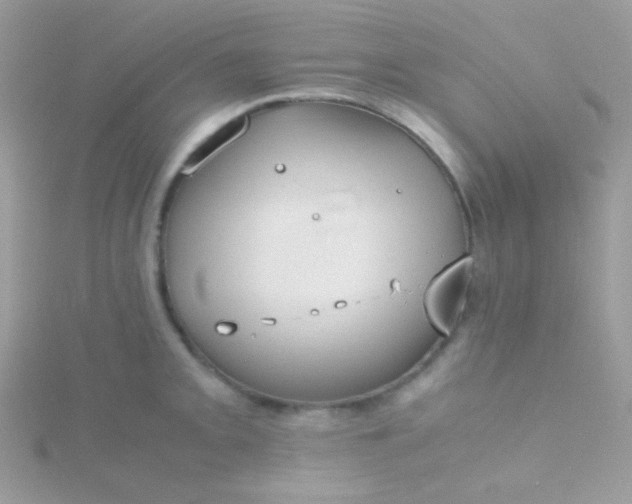 X0000115601093200911241550