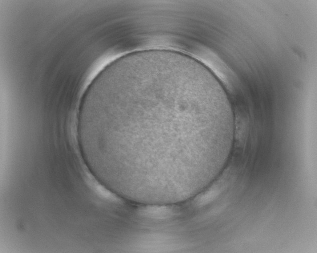 X0000115601094200911241550