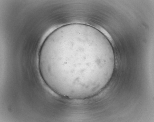 X0000115601096200911241550