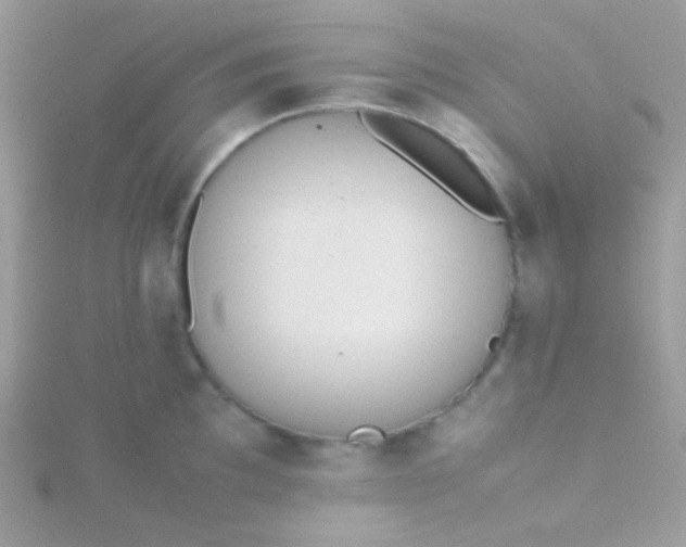 X0000115601097200911241550