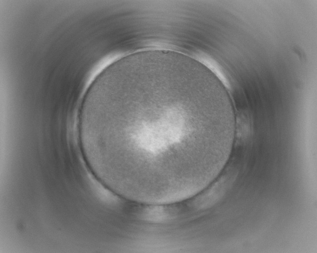 X0000115601098200911241550