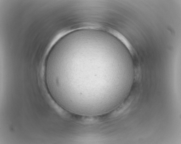 X0000115601099200911241550