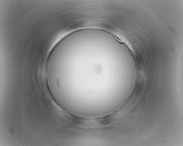 X0000115601101200911241550