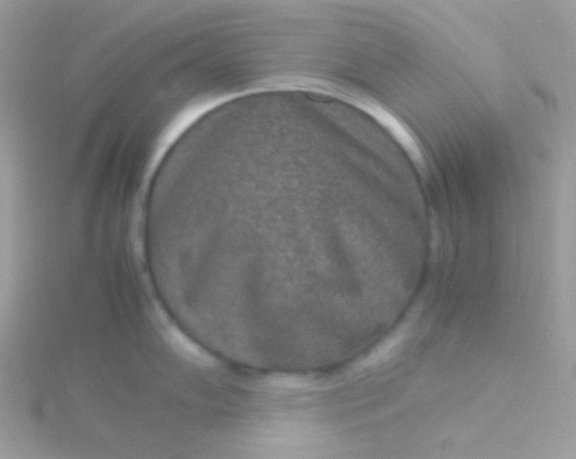 X0000115601102200911241550