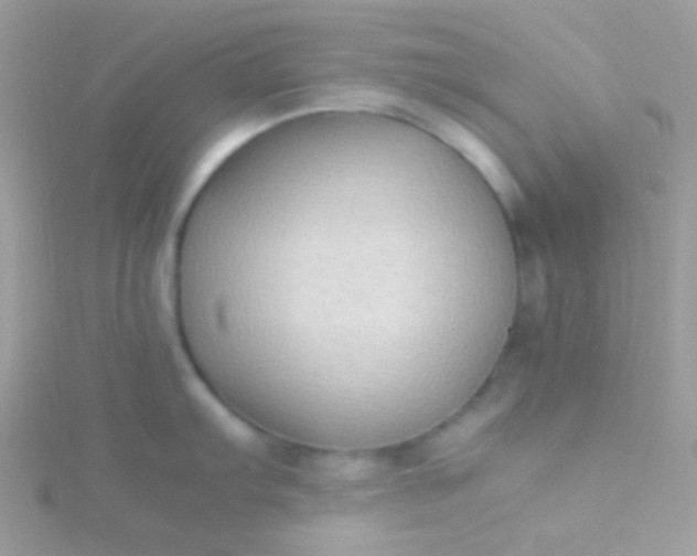 X0000115601103200911241550