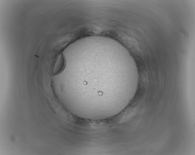 X0000115601105200911241549