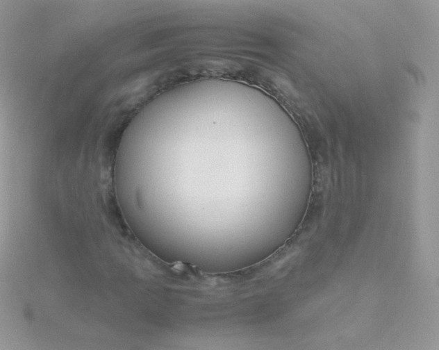 X0000115601109200911241549