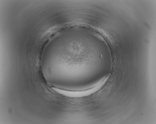 X0000115601110200911241549