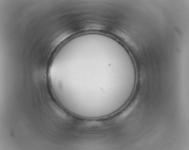 X0000115601113200911241549