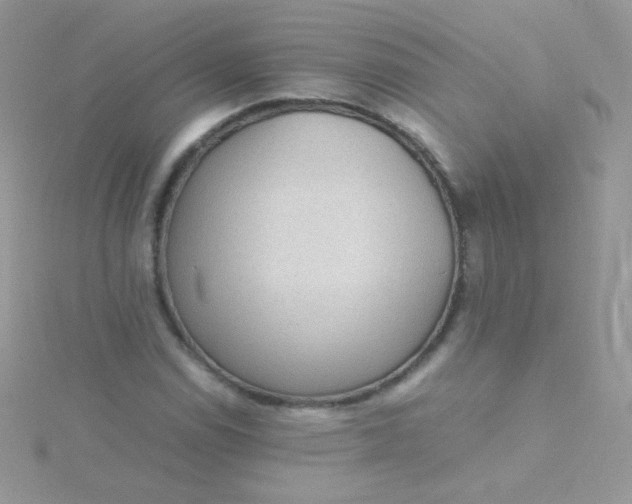 X0000115601114200911241549