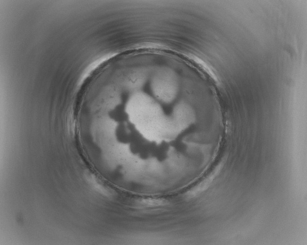 X0000115601117200911241549