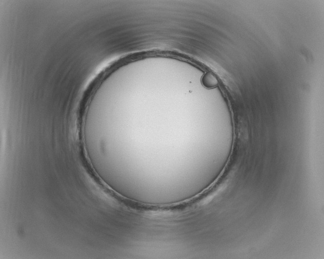 X0000115601118200911241549