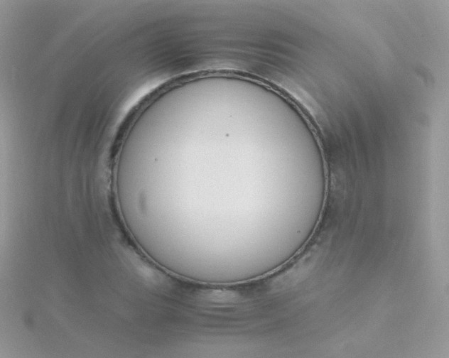 X0000115601119200911241549