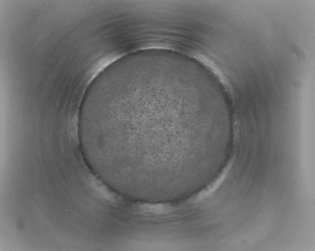 X0000115601121200911241549