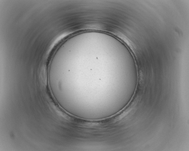 X0000115601123200911241549