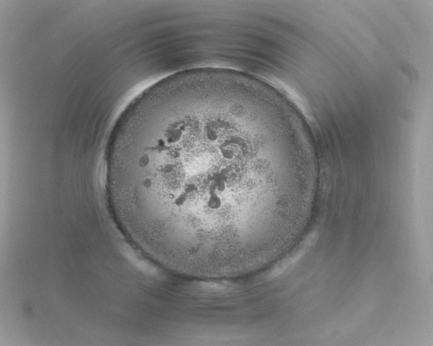 X0000115601125200911241549