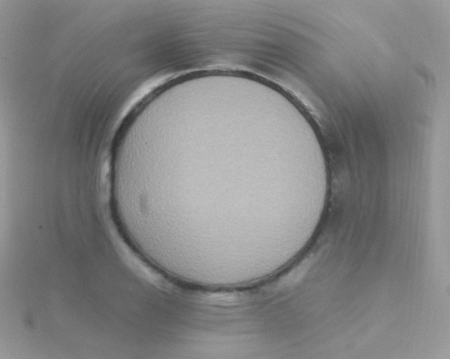 X0000115601126200911241549