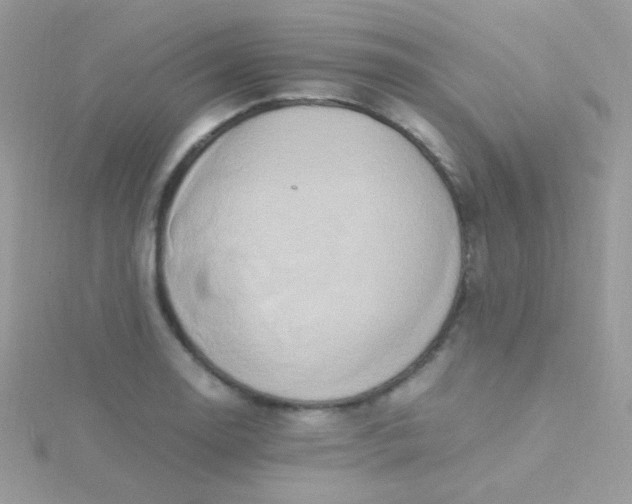 X0000115601130200911241549