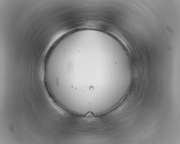 X0000115601131200911241549