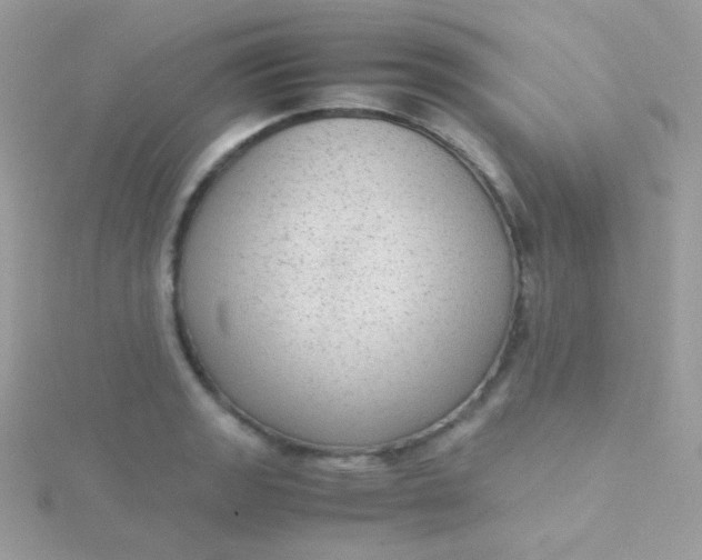 X0000115601133200911241549