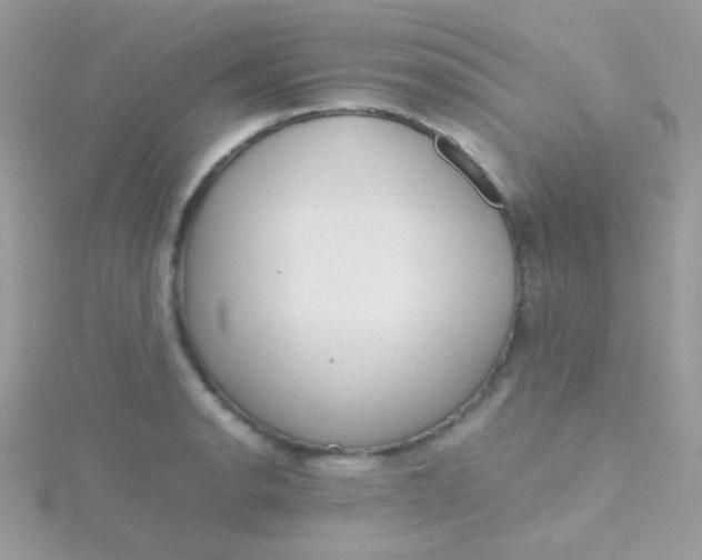 X0000115601134200911241549