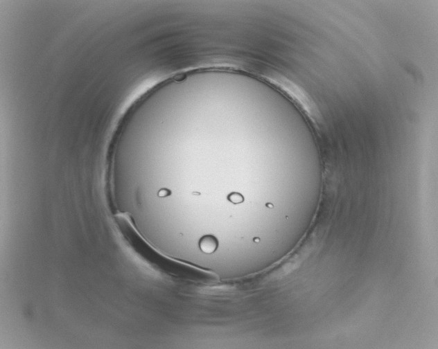 X0000115601135200911241549