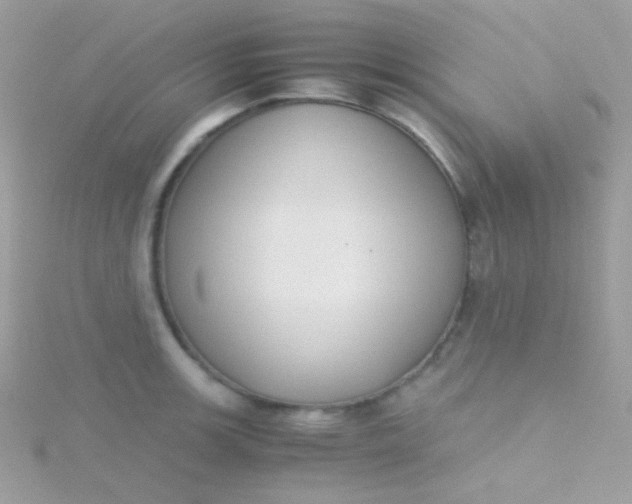 X0000115601139200911241549