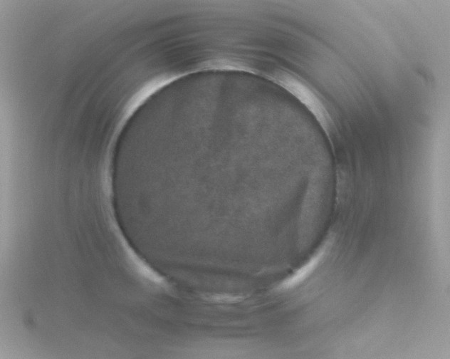 X0000115601141200911241549