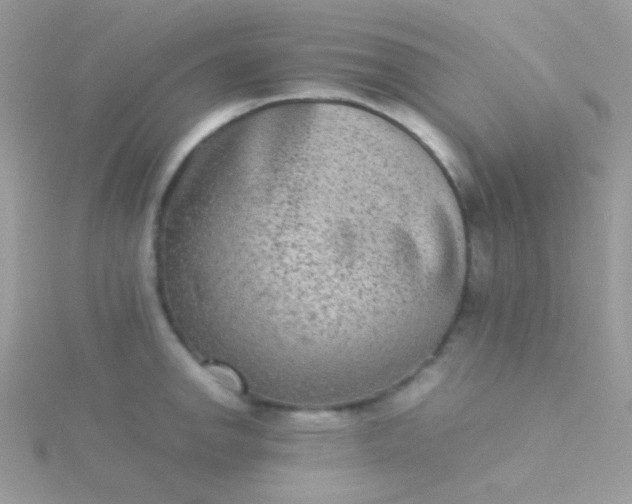 X0000115601142200911241549