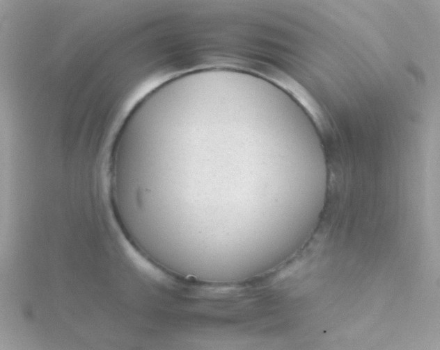 X0000115601143200911241550