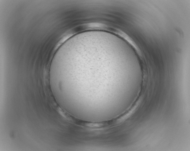 X0000115601145200911241550